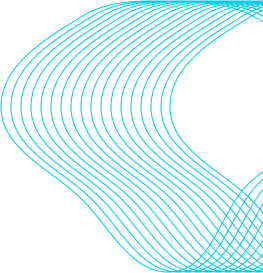shapes